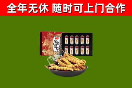 聊城回收冬虫夏草价格