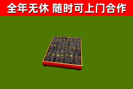 聊城回收海参